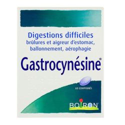 Gastrocynesine 60 Comprimes