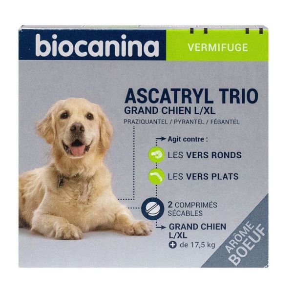 Ascatryl Trio Grand Chien Cpr2